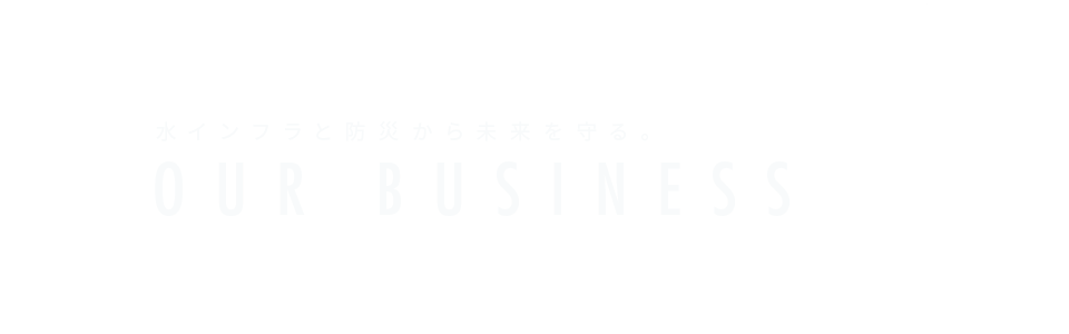 bnr_business